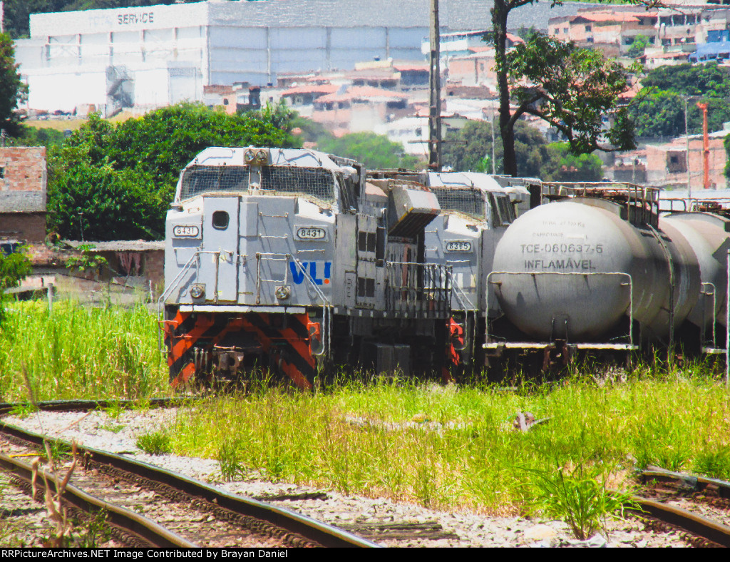 VLI 8431